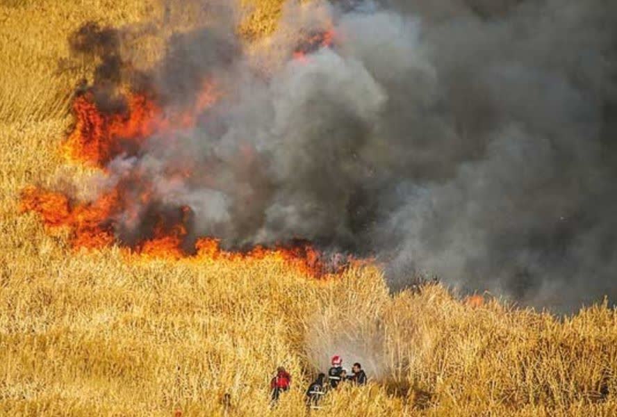 حریق در نیزارهای منطقه چمخاله شهرستان لنگرود مهار شد.