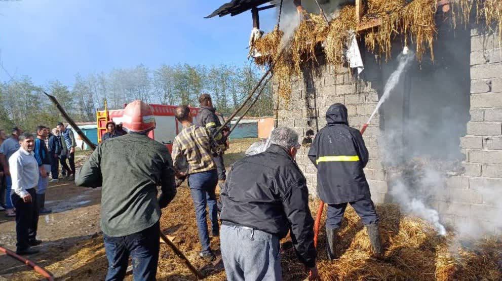 وقوع حریق در اطاقور با ۴۰ راس دام