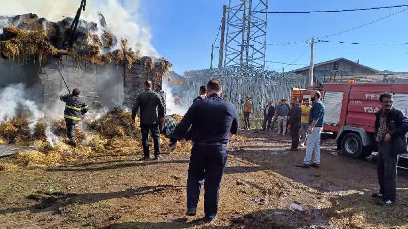 آتش سوزی طویله‌ یک دامداری با ۴۰ راس دام در اطاقور